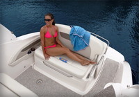 Photo of Chaparral 270 Signature Radar Arch, 2012: with Optional Rear Rail 