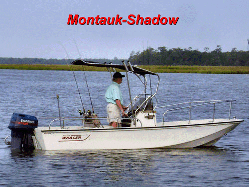 Montauk-Shadow™ for 1978 Boston Whaler® Montauk 17