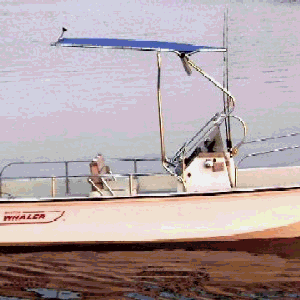Montauk-T-Topless Loop