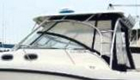 Photo of Boston Whaler Conquest 305, 2004: Hard-Top, Front Connector, Side Curtains, Aft-Drop-Curtain, viewed from Port Side 