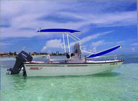 Photo of Boston Whaler Dauntless 15, 1996: Narrow T-Topless™ Folding T-Top, viewed from Starboard Side 