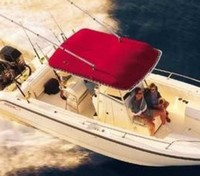 Photo of Boston Whaler Outrage 260, 2001: T-Top, Above 