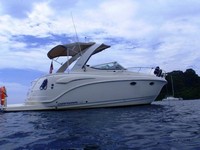 Photo of Chaparral 310 Signature Arch, 2008: Bimini Top, Camper Top, Arch Connections, viewed from Starboard Rear 