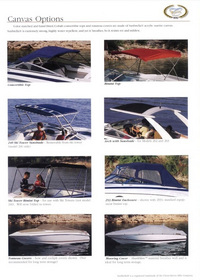 Photo of Cobalt all Boats, 2002: Canvas Options from, 2002: Brochure 