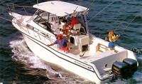 Photo of Grady White Marlin 280, 1989-1994: Hard-Top, Front Visor, Side Curtains Brochure photo, viewed from Port Rear, Above 