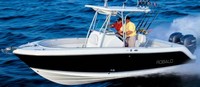 Photo of Robalo 240CC, 2007: Fiberglass T-Top (Factory OEM website photo), viewed from Port Front 
