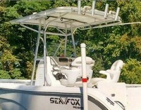 Photo of Sea Fox® 236CC, 2007: Factory OEM T-Top, viewed from Port Rear 