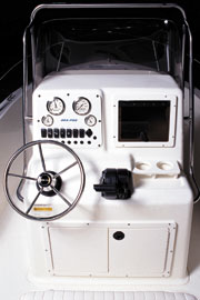 Sea-Pro® 190CC, 2001: website-photo-Console