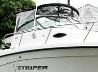 Photo of SeaSwirl Striper 2101WA, 2008: Bimini Top, Connector, Side Curtains, viewed from Starboard Front 