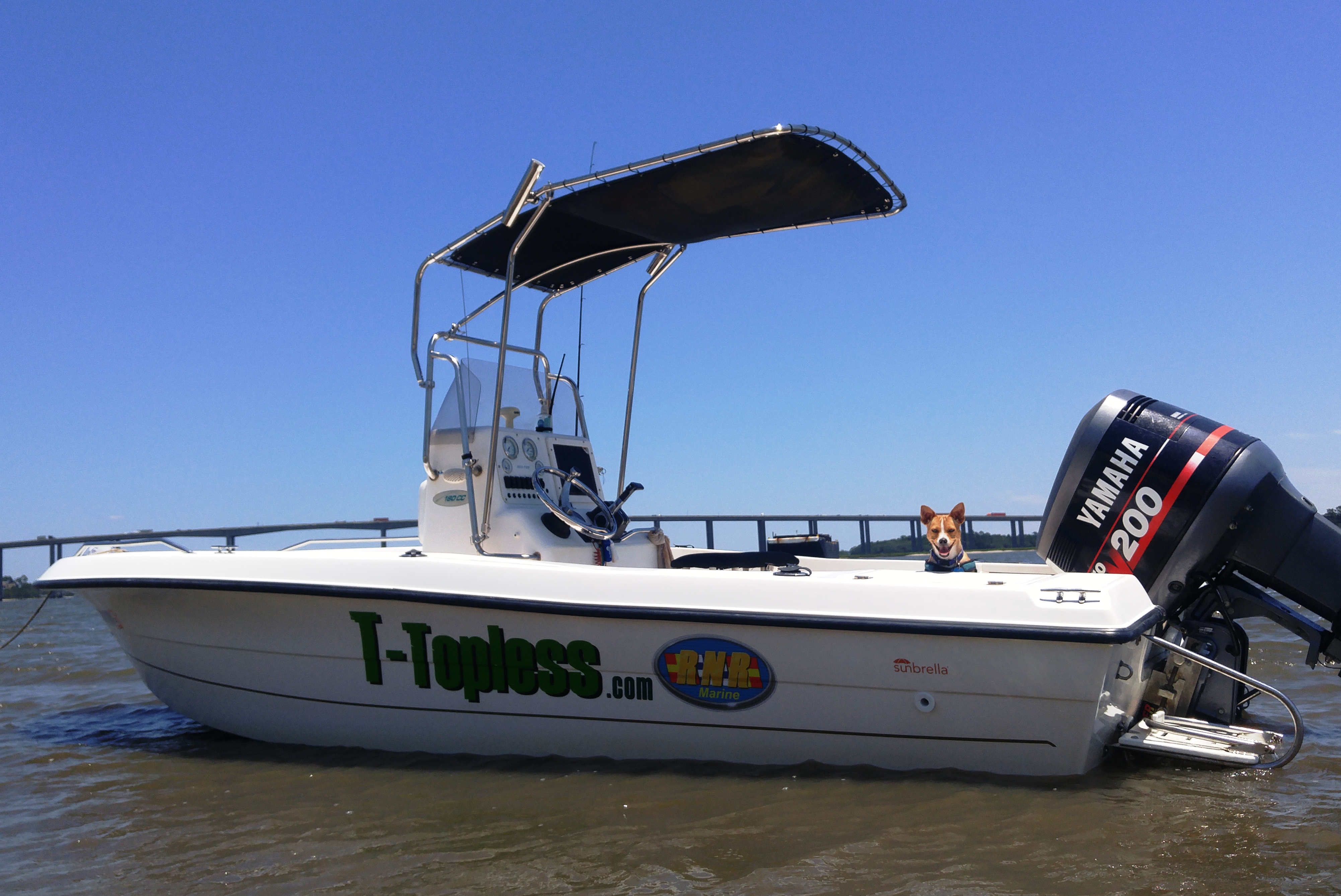 pro team 175 bimini top