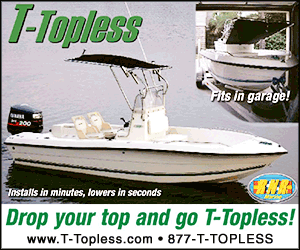 T Topless Tideline Online Ad, 2010jun11